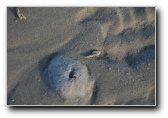 [Click to enlarge]